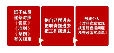 圖解公司主題教育檢視反思環(huán)節(jié)各項工作